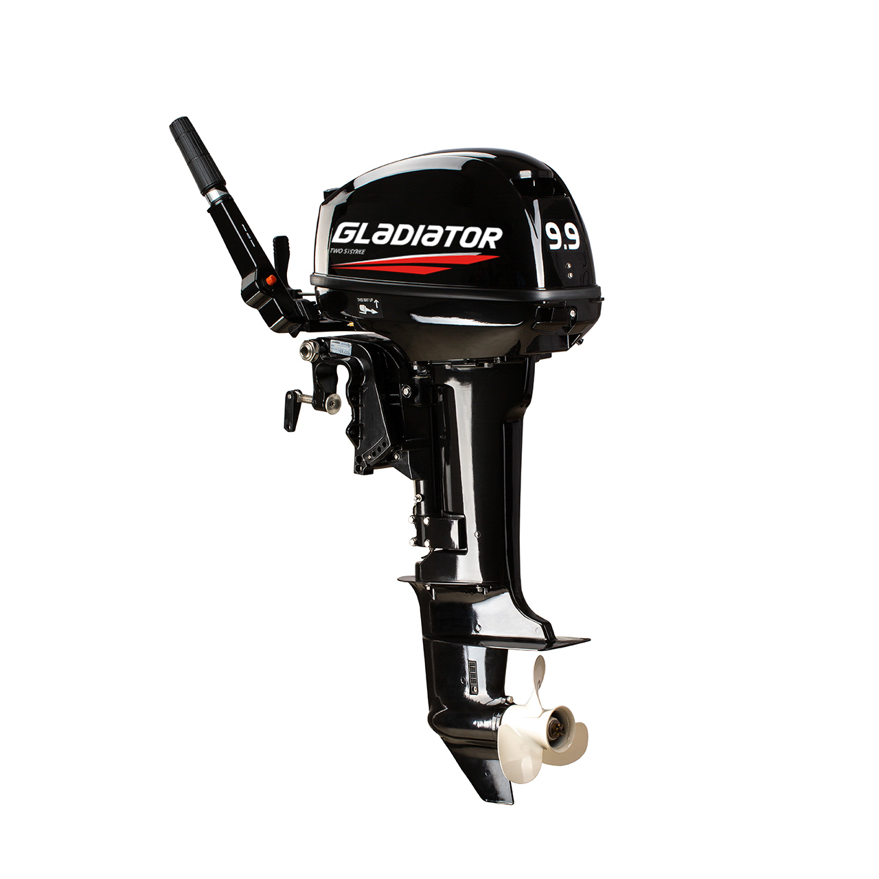 ЛОДОЧНЫЙ МОТОР GLADIATOR G9.9FHS в Сыктывкаре