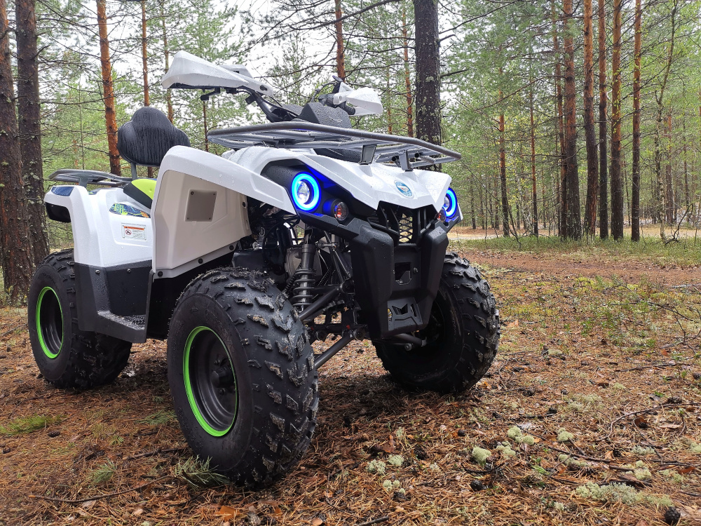 Квадроцикл PROMAX RENEGADE 280 (2025) в Сыктывкаре