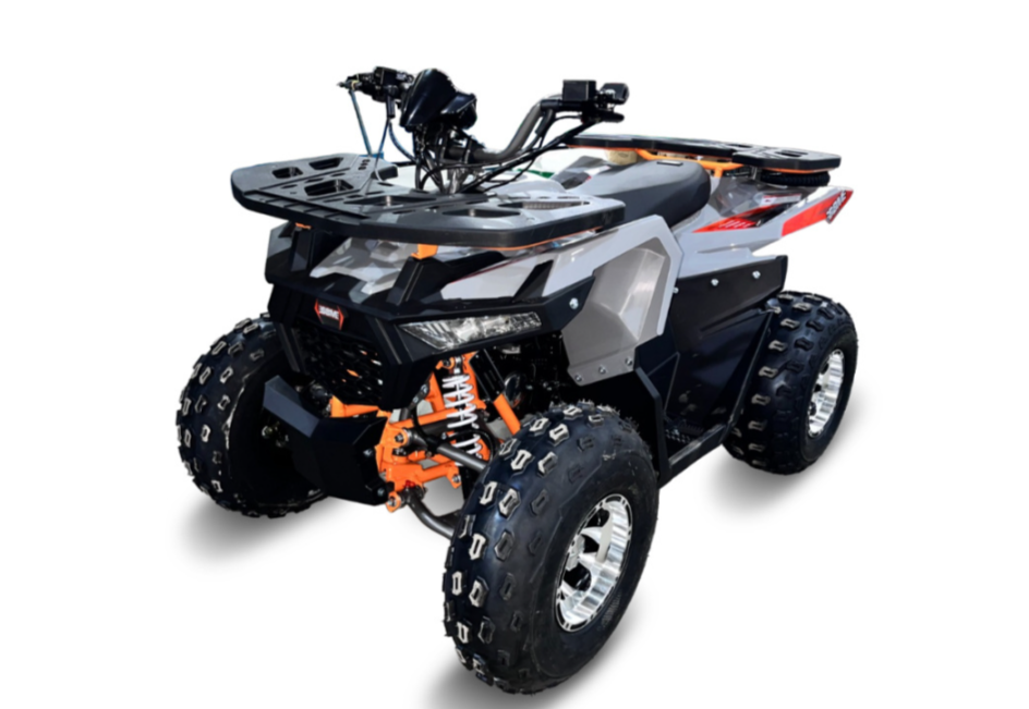 Квадроцикл GBM DAXTER 220 NEW PREMIUM в Сыктывкаре