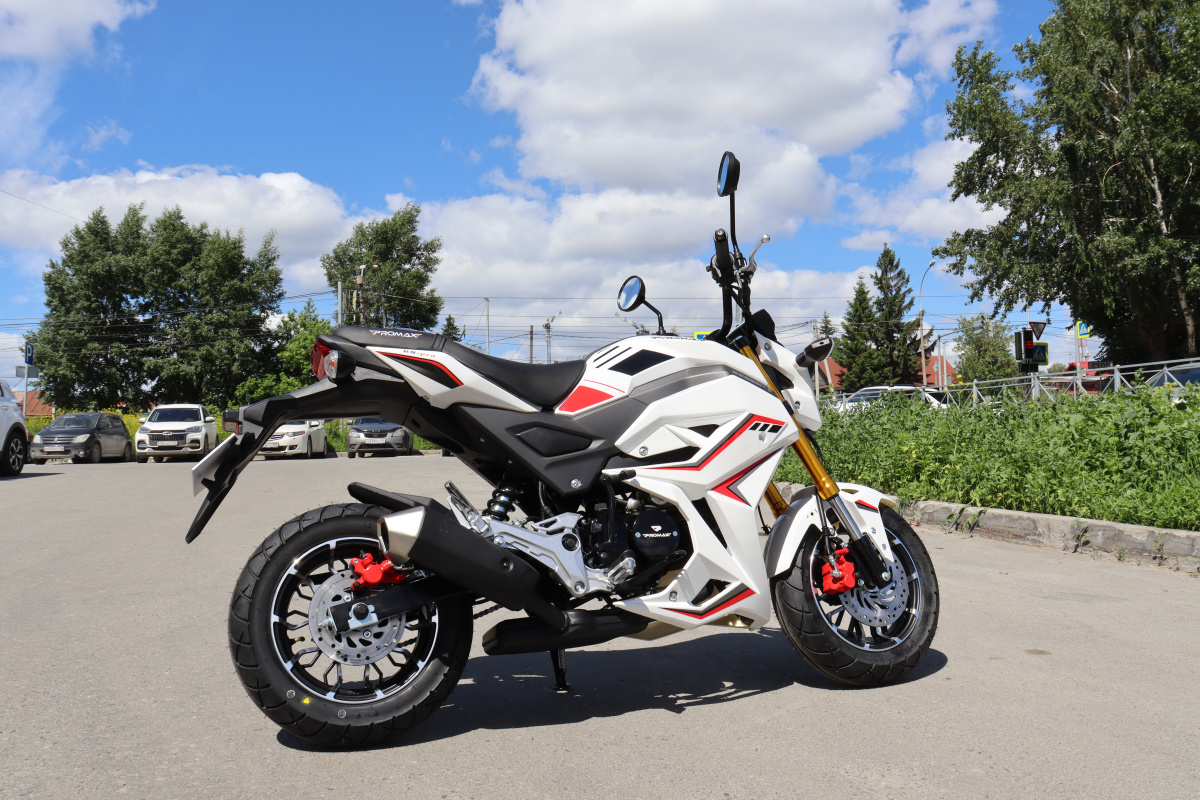 Мотоцикл PROMAX STRYKER 200(49) 2.0 в Сыктывкаре