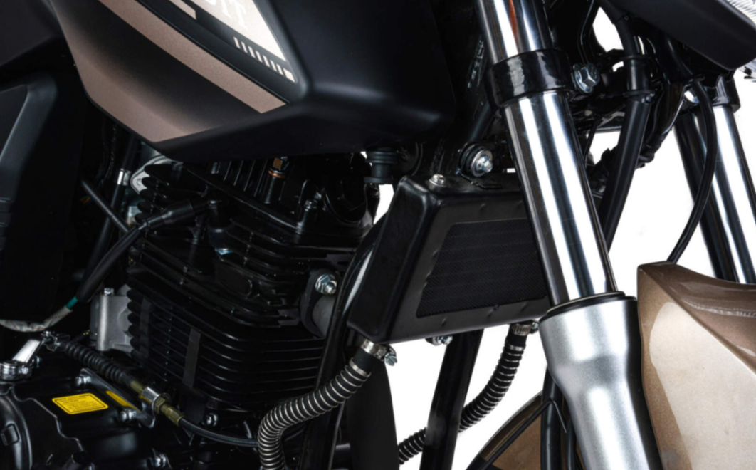 Мотоцикл MOTOLAND (МОТОЛЕНД) 300 BANDIT в Сыктывкаре