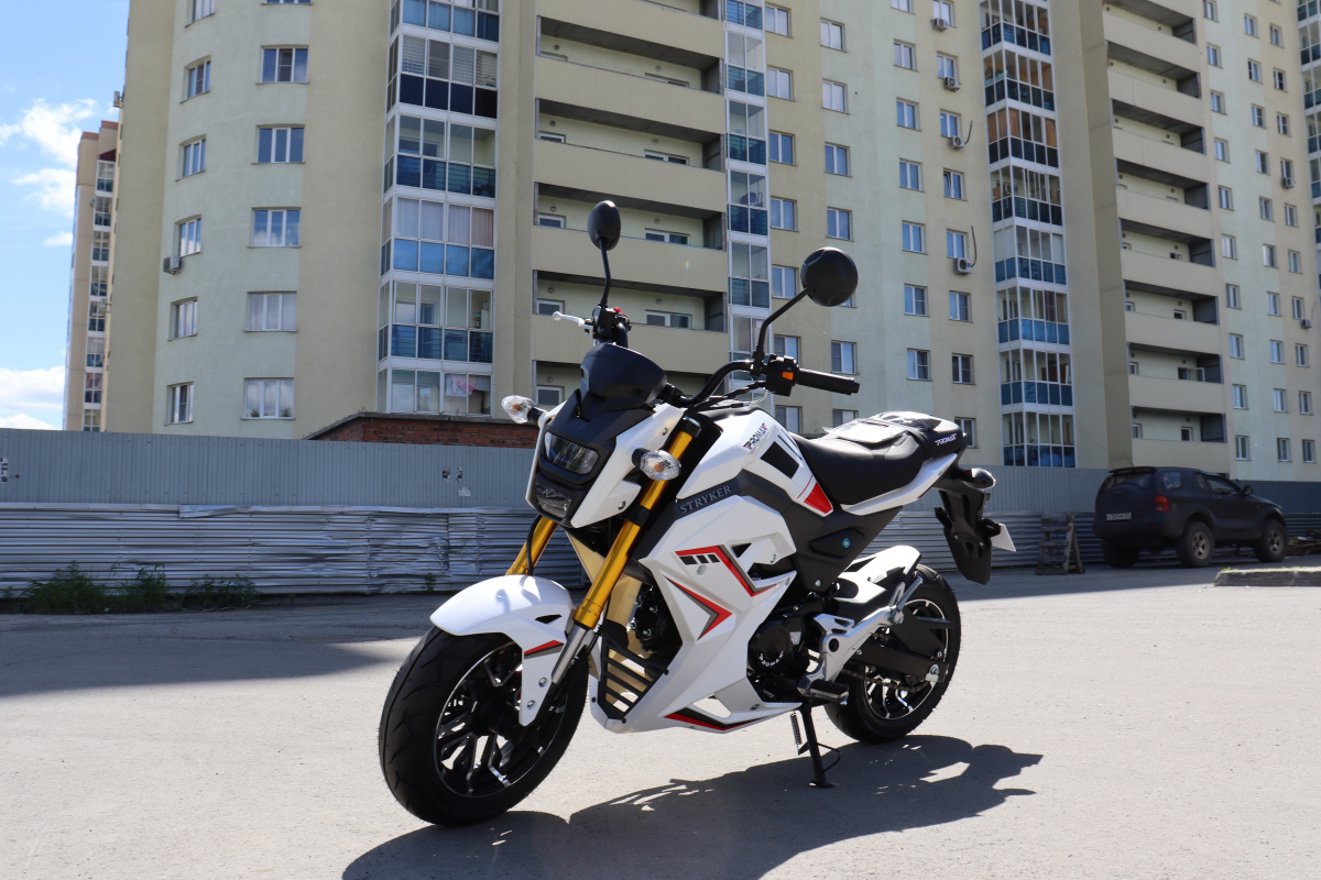 Мотоцикл PROMAX STRYKER 200(49) 2.0 в Сыктывкаре