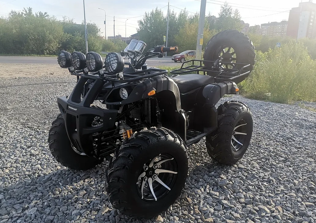 Квадроцикл PROMAX LEO 300 Max (кардан) в Сыктывкаре