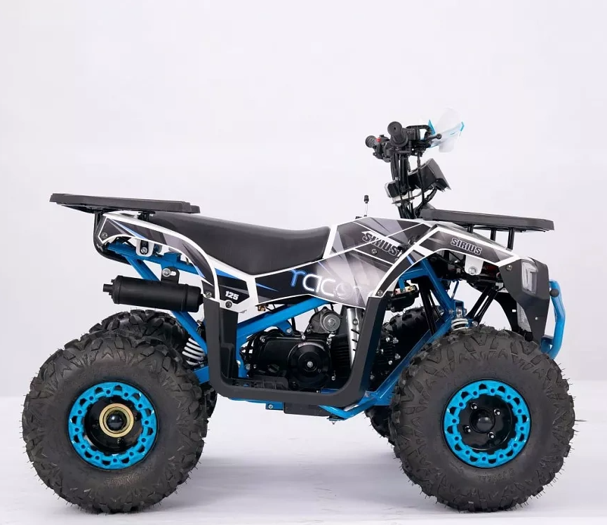 Квадроцикл YACOTA SIRIUS 110 в Сыктывкаре