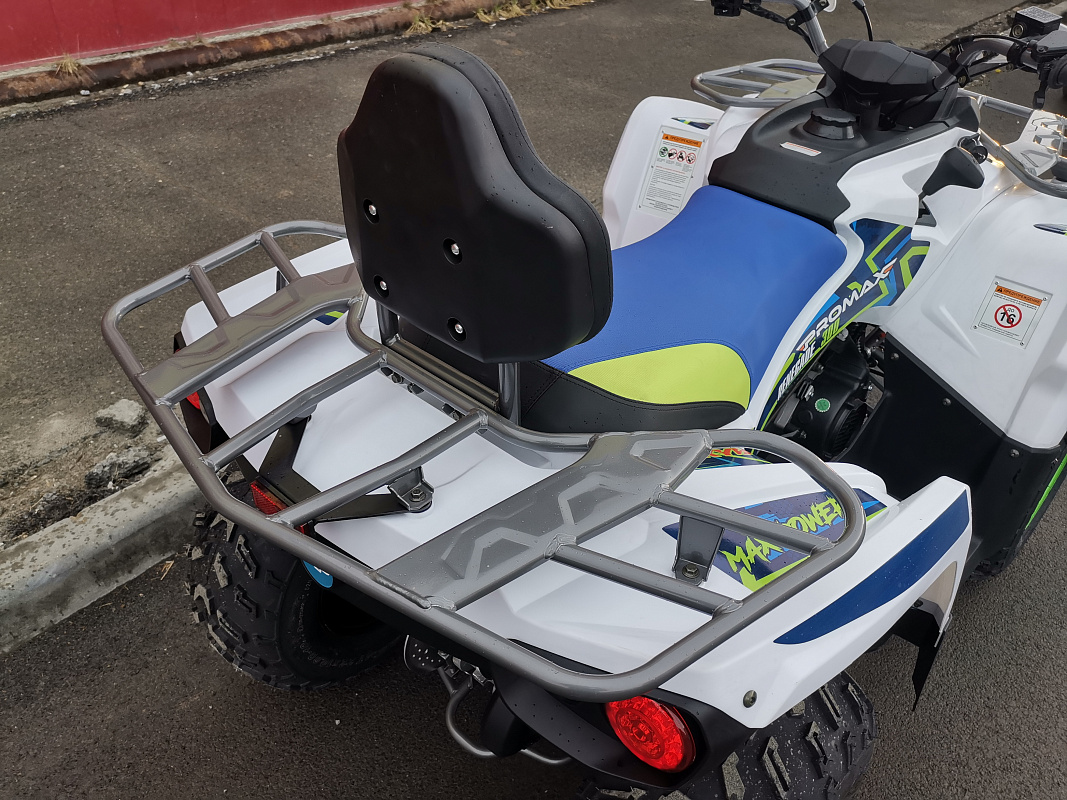 Квадроцикл PROMAX RENEGADE 280 LUX (2025) в Сыктывкаре