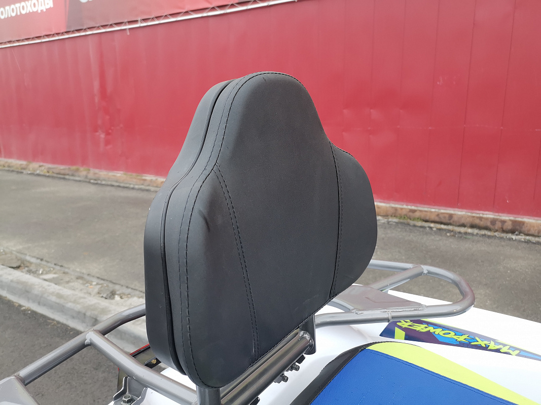 Квадроцикл PROMAX RENEGADE 280 LUX (2025) в Сыктывкаре