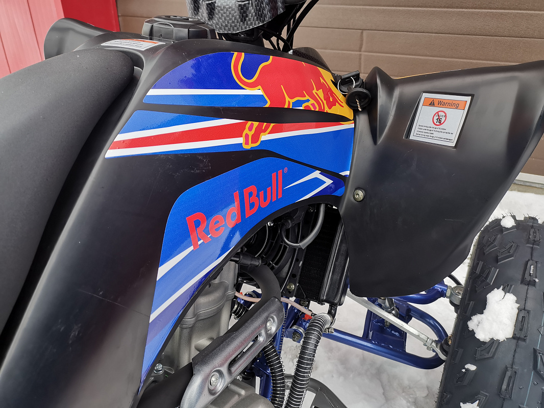 Квадроцикл PROMAX RAPTOR 300 NEW RedBull в Сыктывкаре