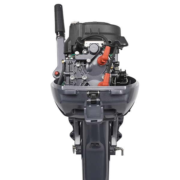 ЛОДОЧНЫЙ МОТОР ALLFA CG Т9,9 Limit в Сыктывкаре