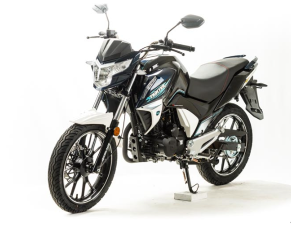 Мотоцикл MOTOLAND (МОТОЛЕНД) FIGHTER 250 в Сыктывкаре