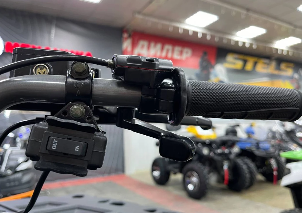 Квадроцикл PROMAX RENEGADE 300 LONG WINCH PRO (2025) в Сыктывкаре