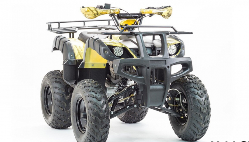 Квадроцикл MOTOLAND (МОТОЛЕНД) 250 ADVENTURE в Сыктывкаре