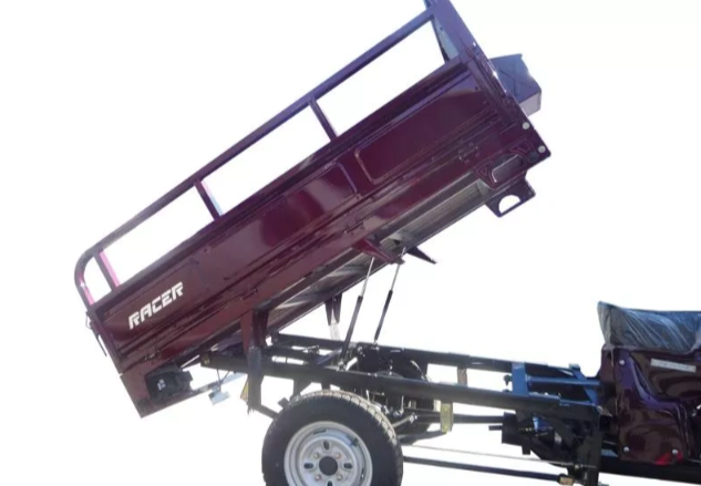 Трицикл RACER RC200ZH MURAVEI в Сыктывкаре