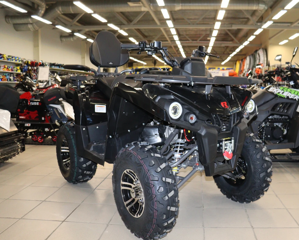 Квадроцикл PROMAX RENEGADE 300 LONG WINCH PRO (2025) в Сыктывкаре