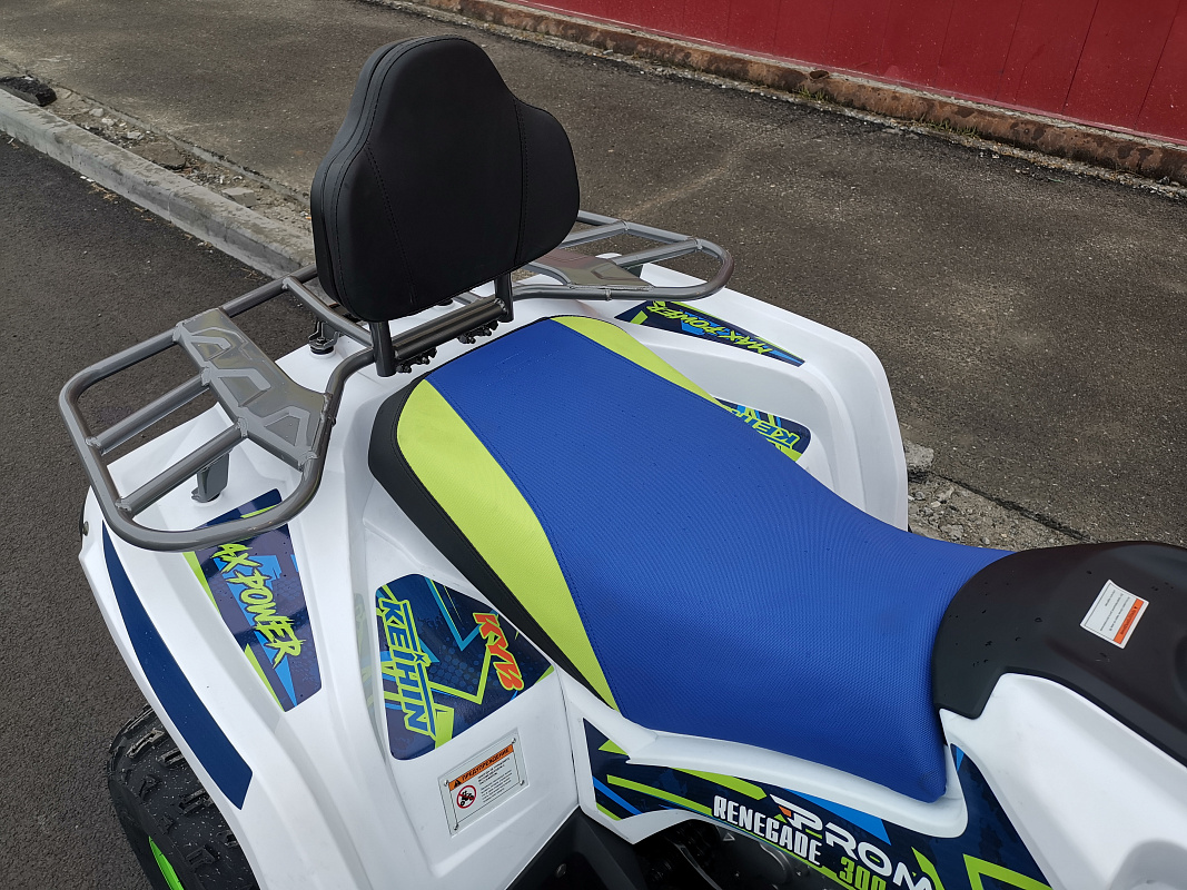 Квадроцикл PROMAX RENEGADE 280 LUX (2025) в Сыктывкаре