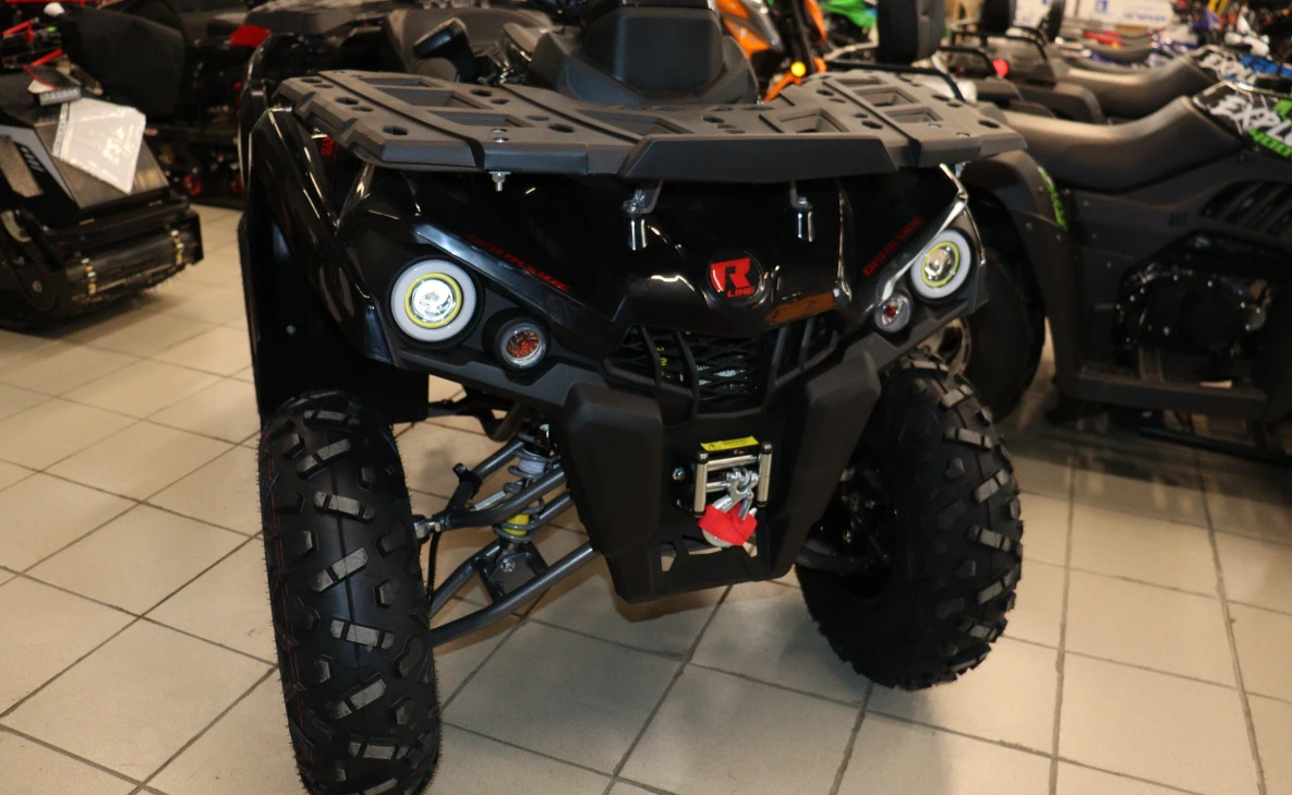 Квадроцикл PROMAX RENEGADE 300 LONG WINCH PRO (2025) в Сыктывкаре