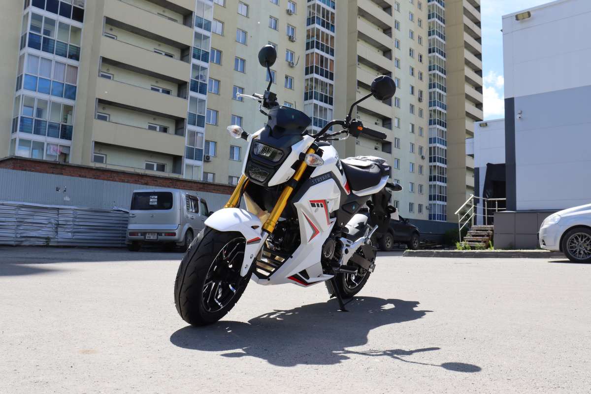 Мотоцикл PROMAX STRYKER 200(49) 2.0 в Сыктывкаре