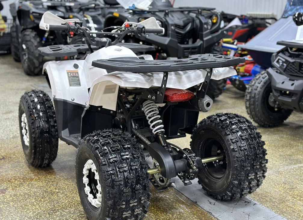 Квадроцикл PROMAX WILD 2.0 190 в Сыктывкаре