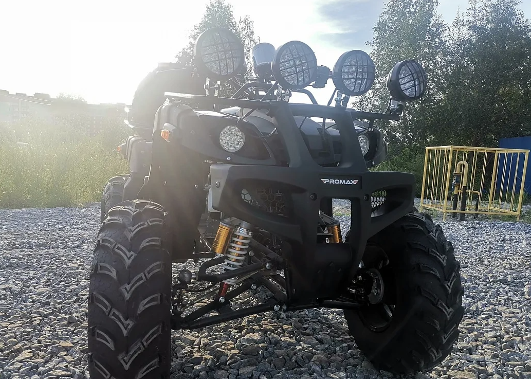 Квадроцикл PROMAX LEO 300 Max (кардан) в Сыктывкаре