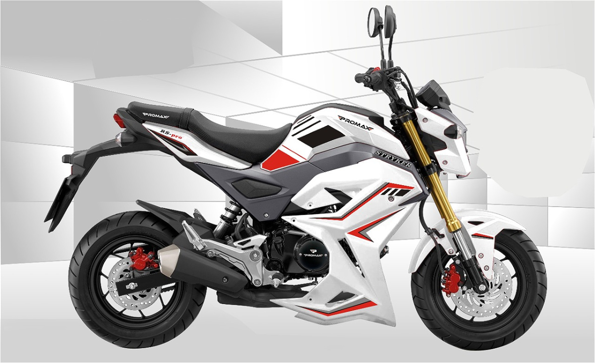 Мотоцикл PROMAX STRYKER 200(49) 2.0 в Сыктывкаре