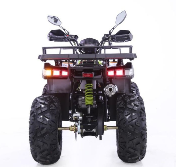 Квадроцикл YACOTA WARRIOR 200 PRO в Сыктывкаре