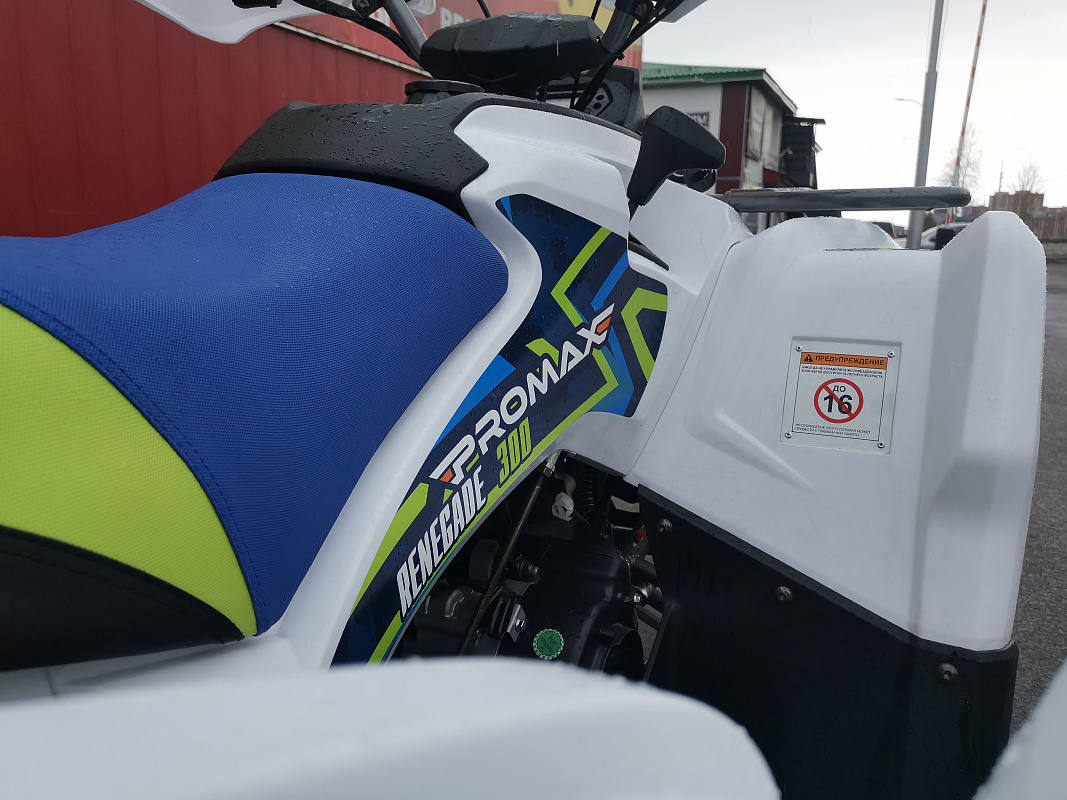 Квадроцикл PROMAX RENEGADE 280 LUX (2025) в Сыктывкаре