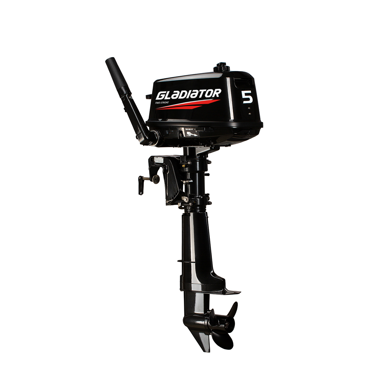 ЛОДОЧНЫЙ МОТОР GLADIATOR G5FHS в Сыктывкаре