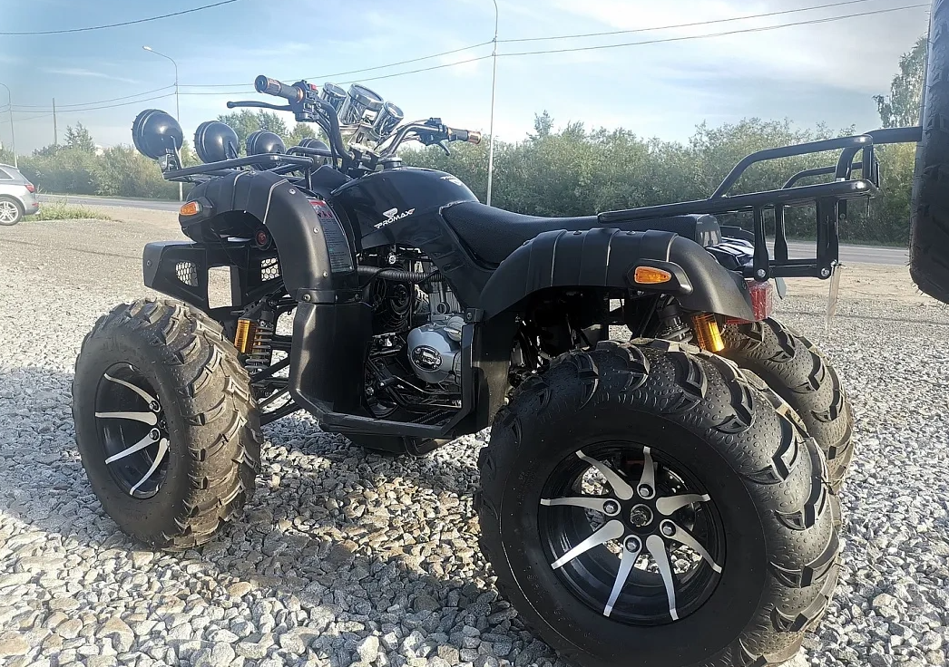 Квадроцикл PROMAX LEO 300 Max (кардан) в Сыктывкаре