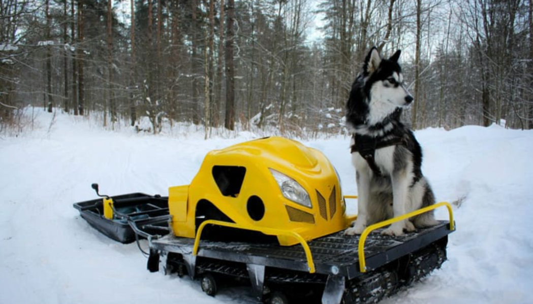 Мотобуксировщик LEBEDEV MOTORS ВОЛКОДАВ POWER V13 в Сыктывкаре