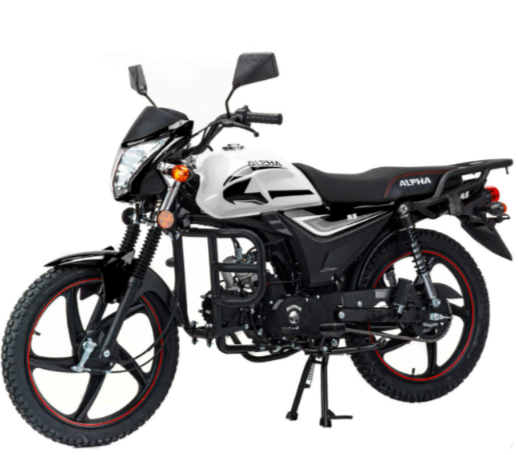 Мопед MOTOLAND (МОТОЛЕНД) Альфа RS 11 (LM48-B) в Сыктывкаре