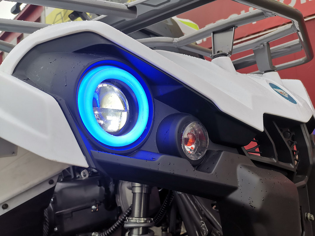 Квадроцикл PROMAX RENEGADE 280 LUX (2025) в Сыктывкаре