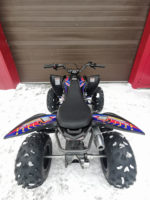 Квадроцикл PROMAX RAPTOR 300 NEW RedBull в Сыктывкаре