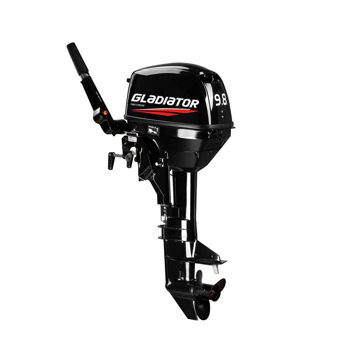 ЛОДОЧНЫЙ МОТОР GLADIATOR G9.8FHS в Сыктывкаре