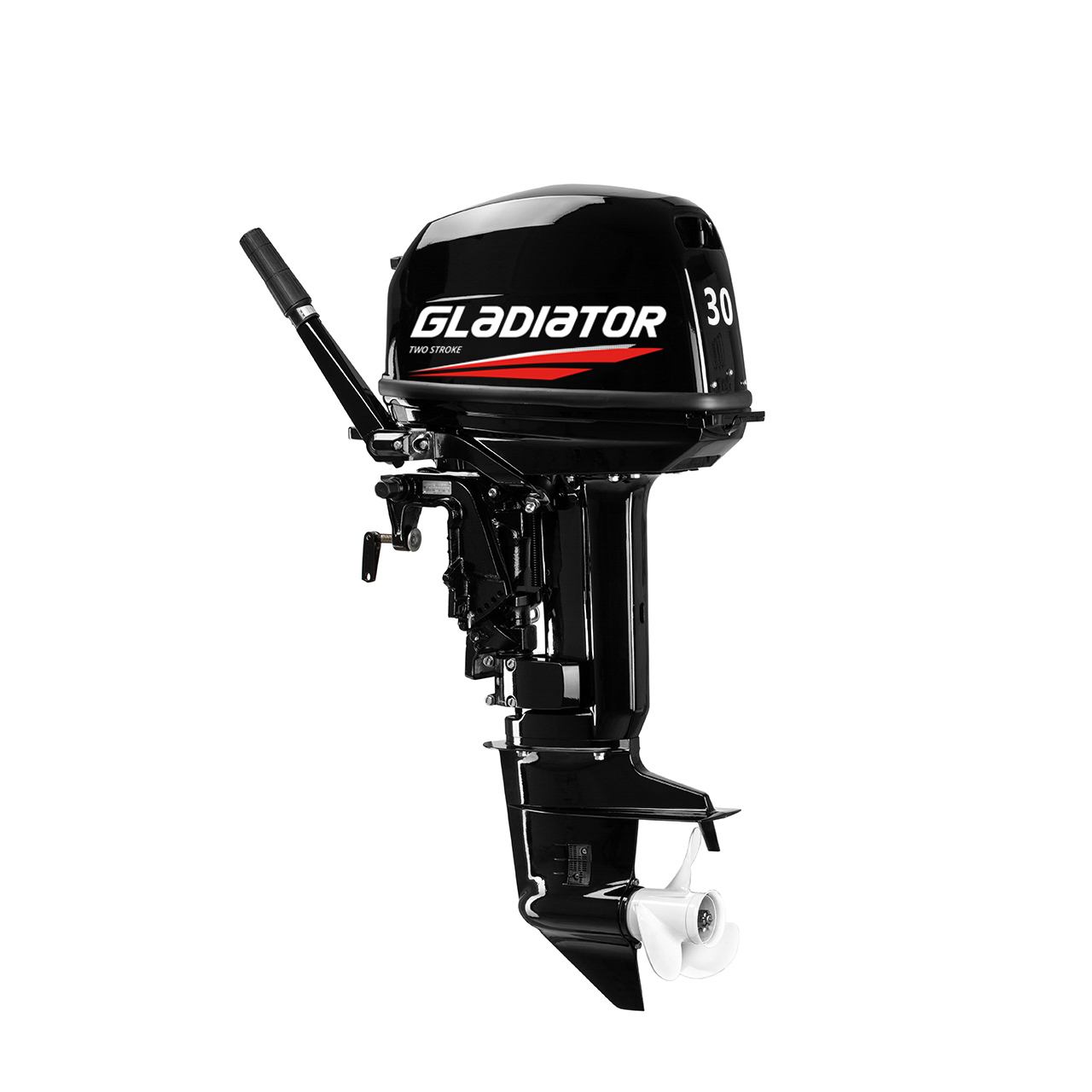 ЛОДОЧНЫЙ МОТОР GLADIATOR G30FHS в Сыктывкаре