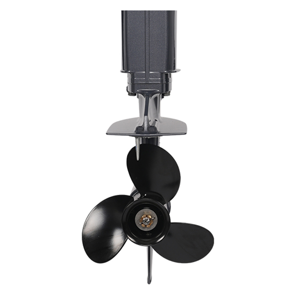 Лодочный мотор ALLFA CG Т9.9(20)MAX в Сыктывкаре