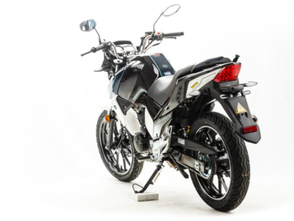 Мотоцикл MOTOLAND (МОТОЛЕНД) FIGHTER 250 в Сыктывкаре