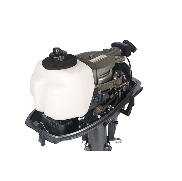 ЛОДОЧНЫЙ МОТОР ALLFA CG T5 в Сыктывкаре