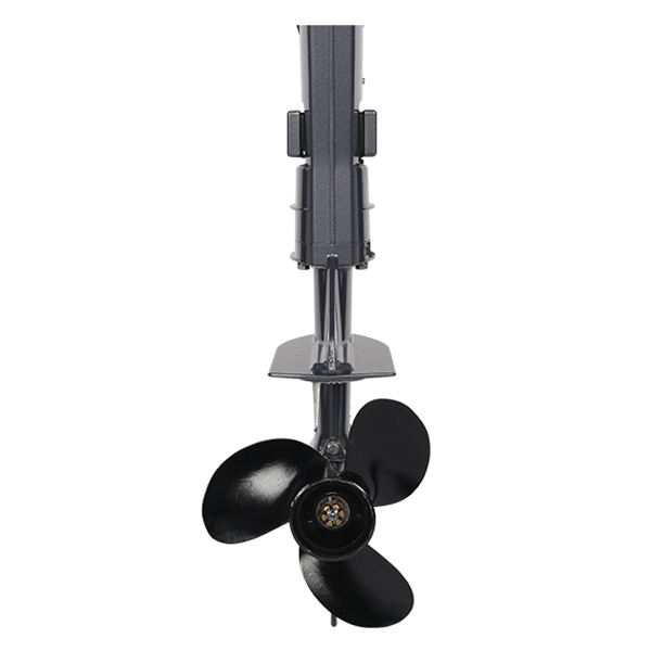 ЛОДОЧНЫЙ МОТОР ALLFA CG T9,8 Limit в Сыктывкаре