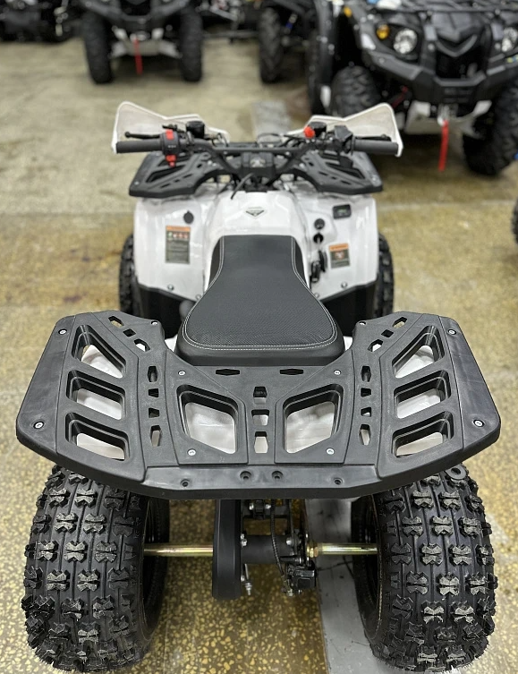 Квадроцикл PROMAX WILD 2.0 190 в Сыктывкаре