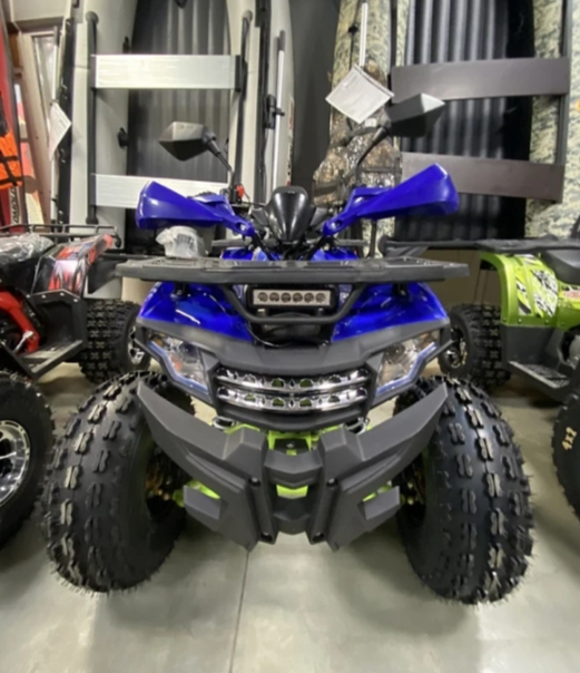 Квадроцикл PROMAX WILD 2.0 190 PRO (2025) в Сыктывкаре