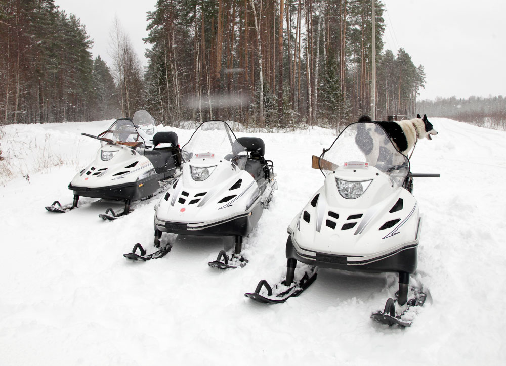 СНЕГОХОД РМ ТАЙГА ВАРЯГ 550 V в Сыктывкаре