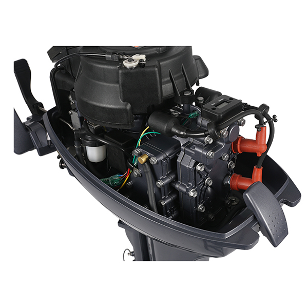 ЛОДОЧНЫЙ МОТОР ALLFA CG Т9,9 Limit в Сыктывкаре