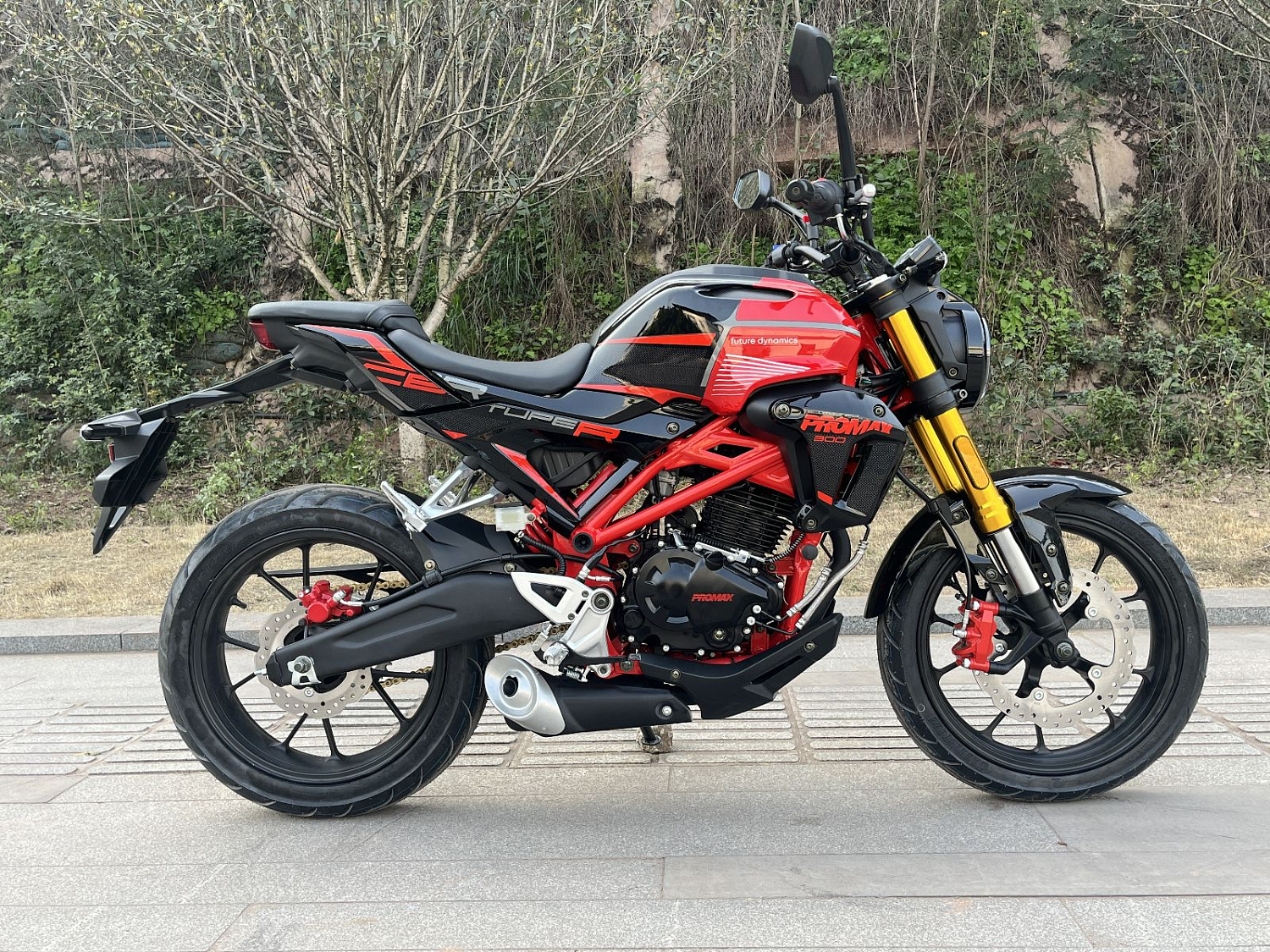 Мотоцикл PROMAX CB300 в Сыктывкаре