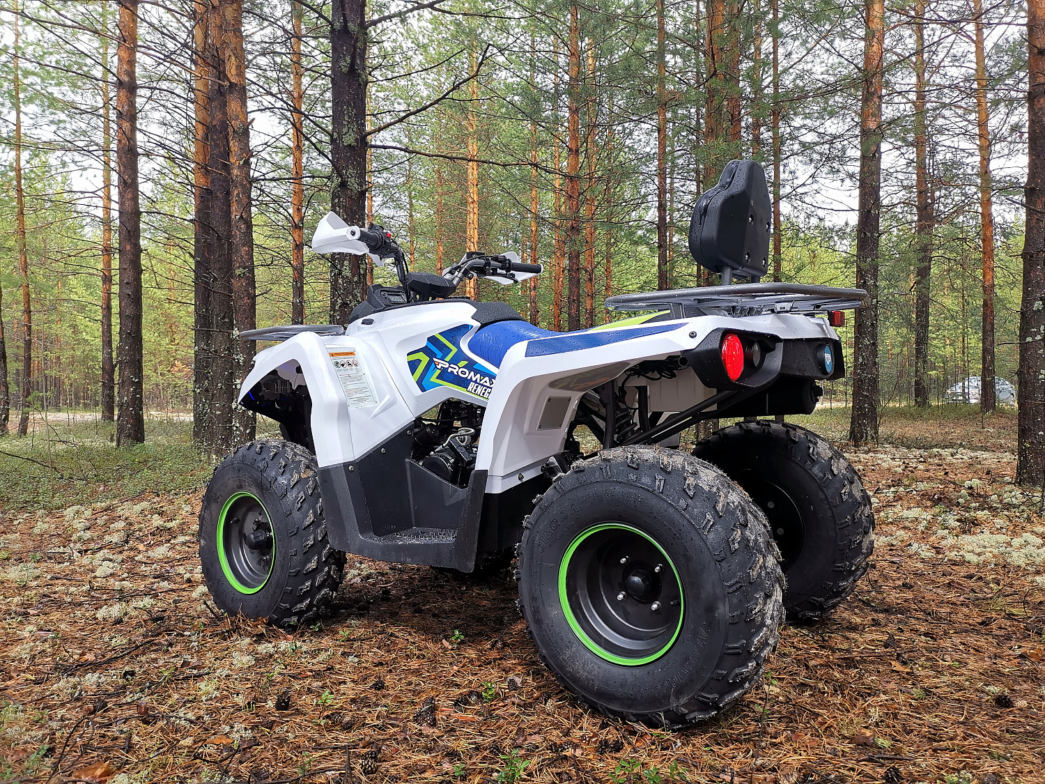 Квадроцикл PROMAX RENEGADE 280 (2025) в Сыктывкаре