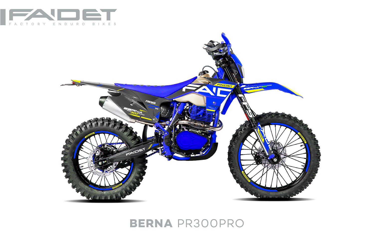 Кроссовый мотоцикл FAIDET BERNA PR300-PRO FPS в Сыктывкаре