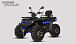 Квадроцикл PROMAX TAURUS 300 MAX-PRO LONG в Сыктывкаре