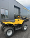 КВАДРОЦИКЛ IRBIS ATV 250  в Сыктывкаре