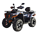 Квадроцикл MOTOLAND (МОТОЛЕНД) 300 MAX X в Сыктывкаре