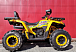 Квадроцикл PROMAX STORM 280 LUX в Сыктывкаре