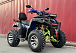  Квадроцикл PROMAX ATV 250 MAX (2025) в Сыктывкаре