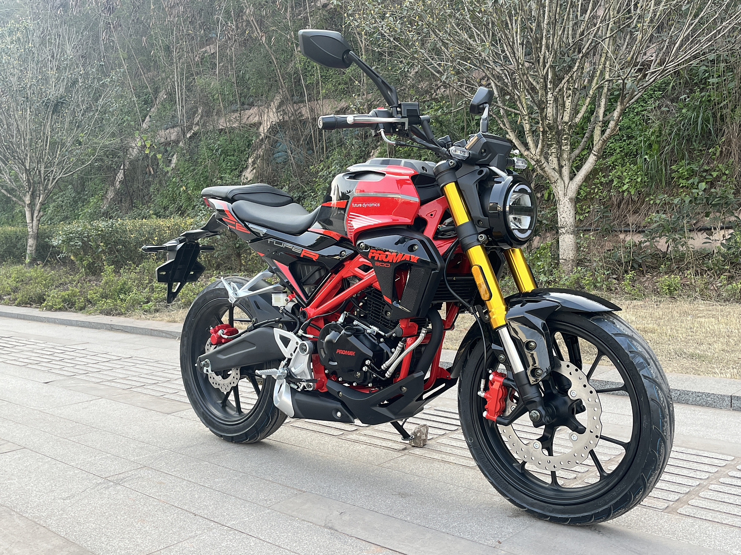 Мотоцикл PROMAX CB300 в Сыктывкаре